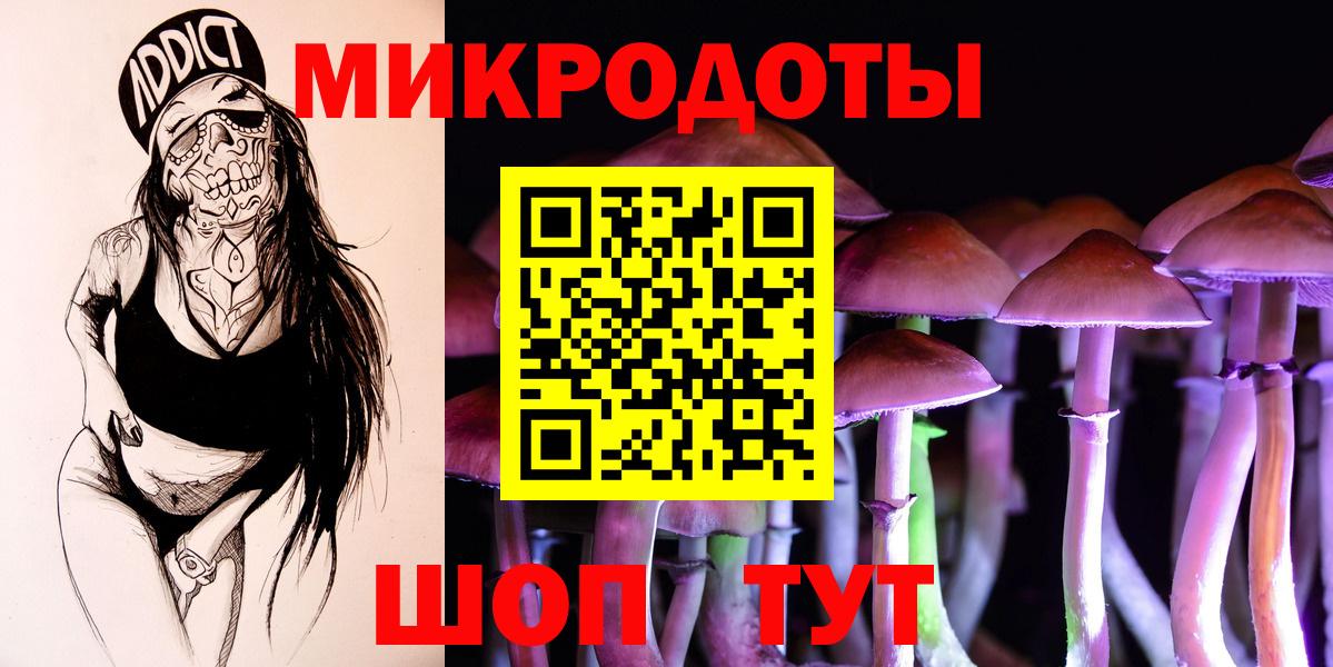 Псилоцибиновые грибы Psilocybe Ханты-Мансийск